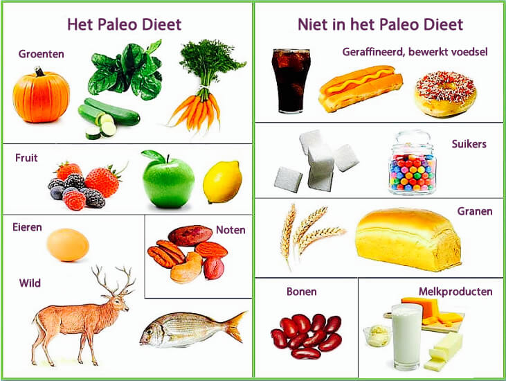 Paleo-dieet
